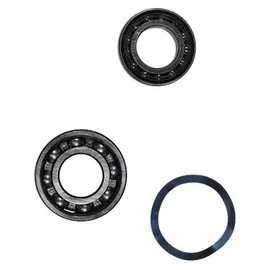 Kit, Ball Bearing 6309.Z.C4/7209.BE_SF Kit, Ball Bearing 6309.Z.C4/7209.BE_SF