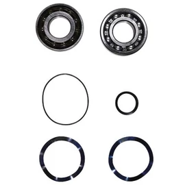 Kit, Ball Bearing 7309.BE/6309.Z.C4 Kit, Ball Bearing 7309.BE/6309.Z.C4