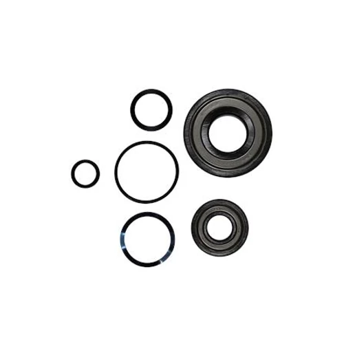 Kit, Ball Bearing 6306.SYN/6204.SYN